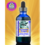 TURQUOISE DRAGON - 2 oz
